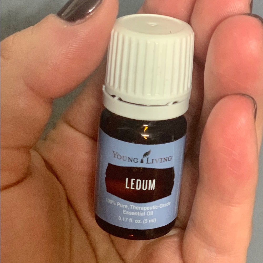 Young Living Ledum Essential Oil
